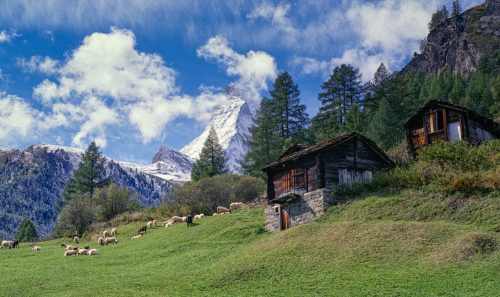 Zermatt mit Schafen