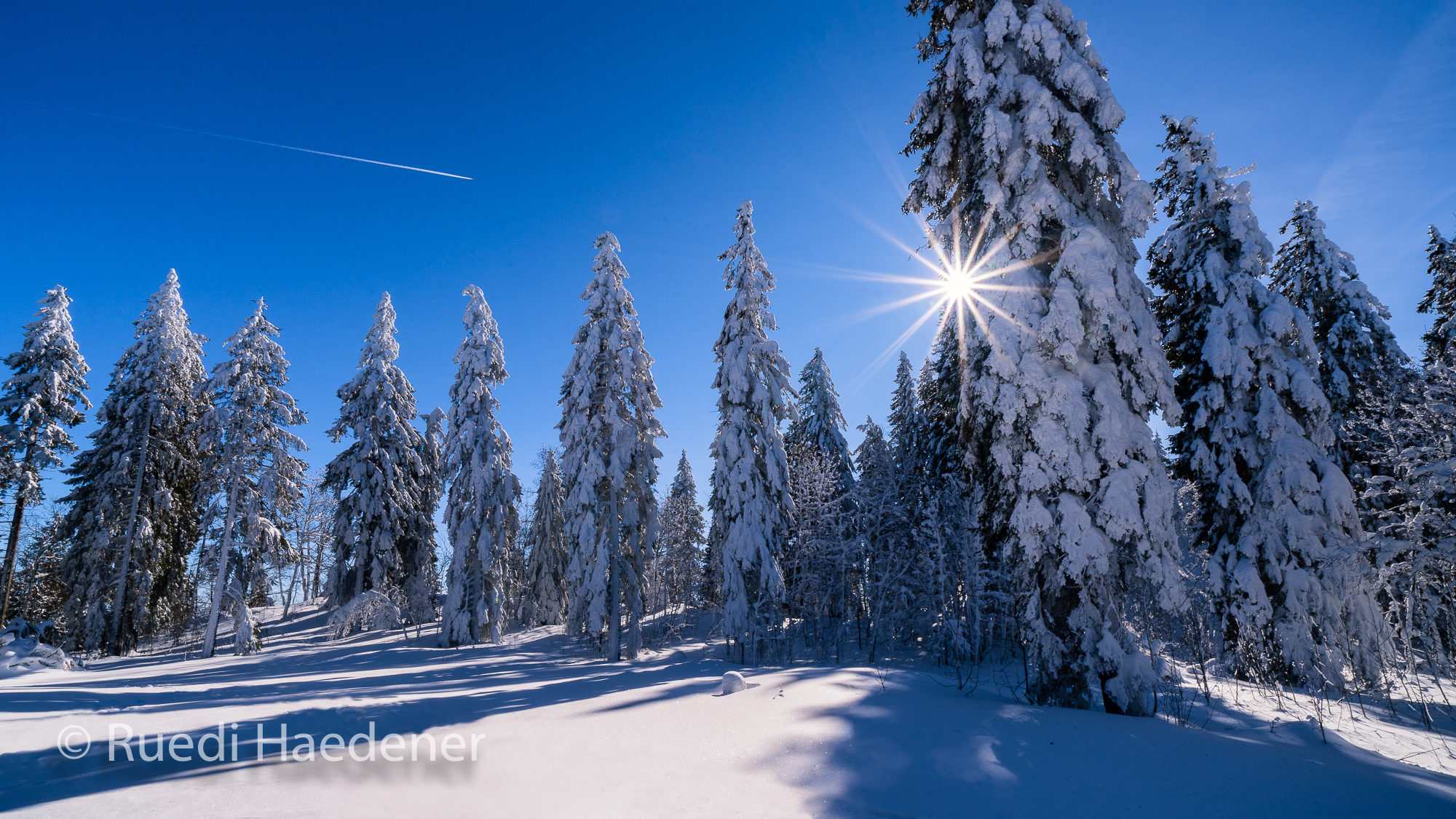 Schnee im Jura mit verschneiten Bäumen